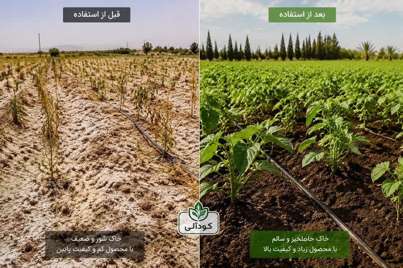 نتیجه‌گیری: آینده کشاورزی ایران با کود ارگانیک گره خورده است