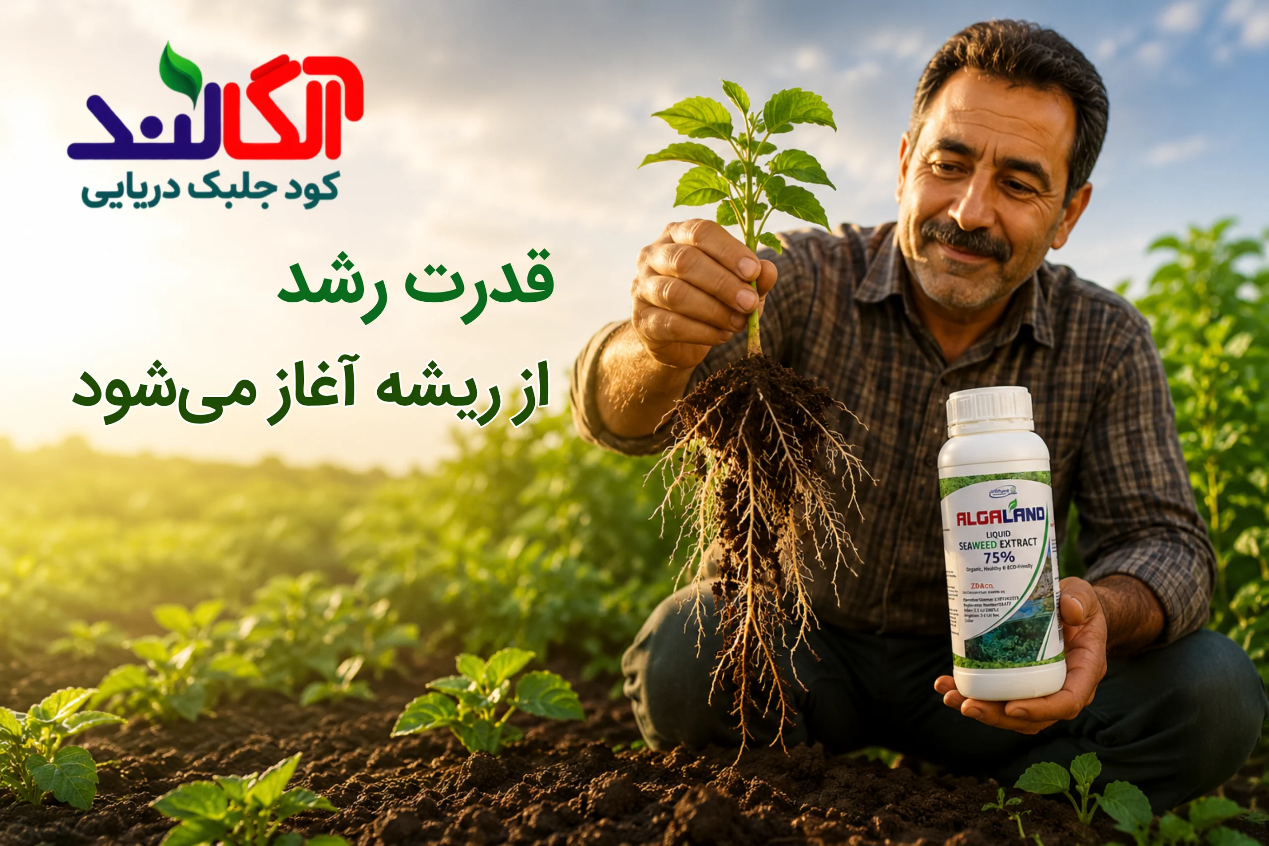 کود جلبک دریایی آلگالند، یک اکسیر همه‌کاره برای ارتقای سلامت و باردهی در تمام بخش‌های کشاورزی است. این محصول با غلظت بالای ۷۵٪ عصاره جلبک دریایی و غنی‌شده با اسیدهای آمینه و هورمون‌های طبیعی، سدی نفوذناپذیر در برابر تنش‌های محیطی ایجاد کرده و پتانسیل ژنتیکی گیاه را برای تولید حداکثری فعال می‌کند.